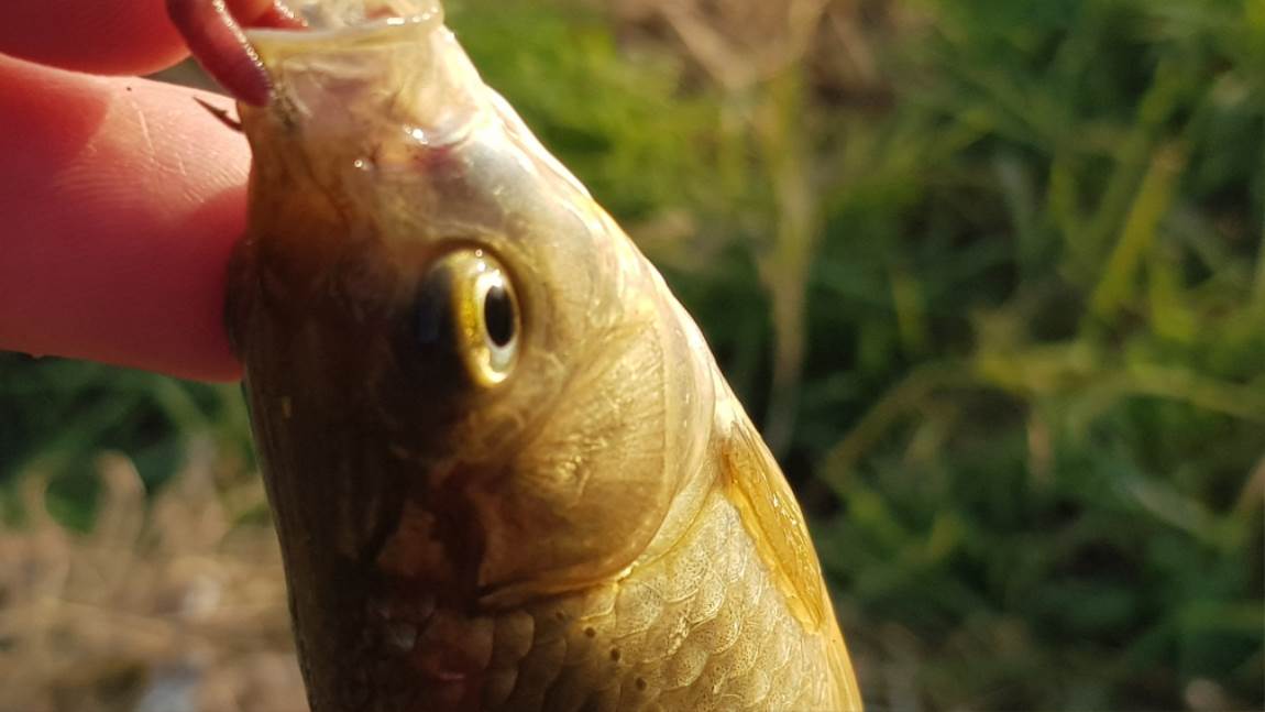 20191107_162812.jpg