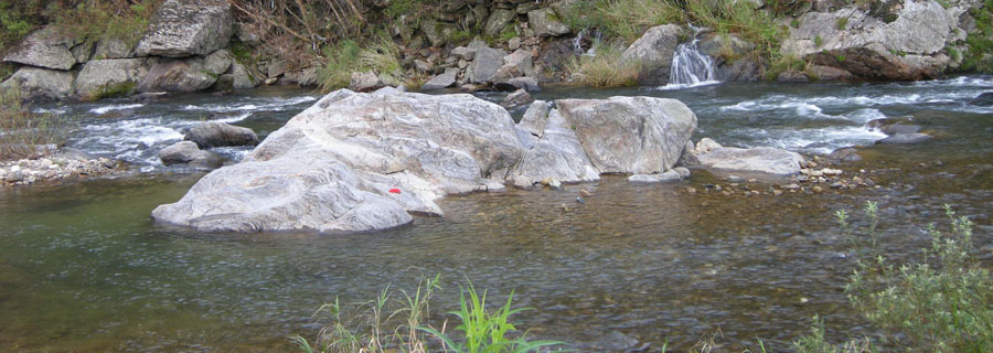 1249105880.jpg