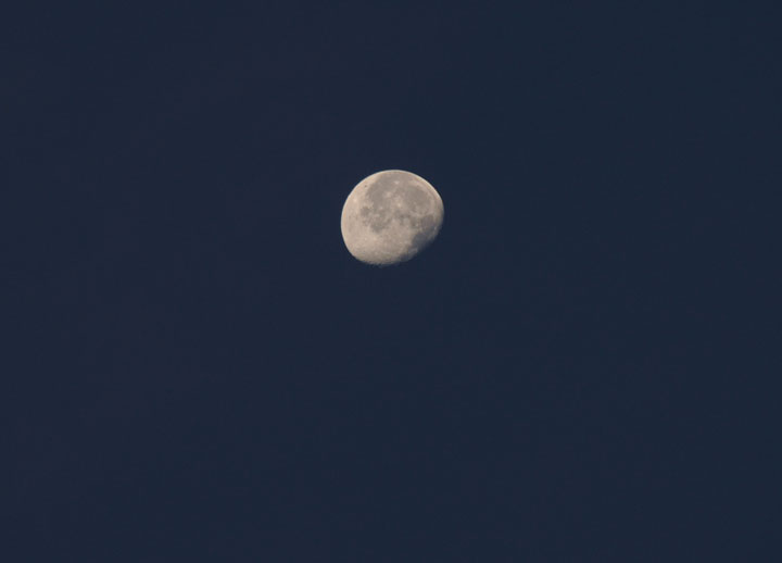 1249909271.JPG