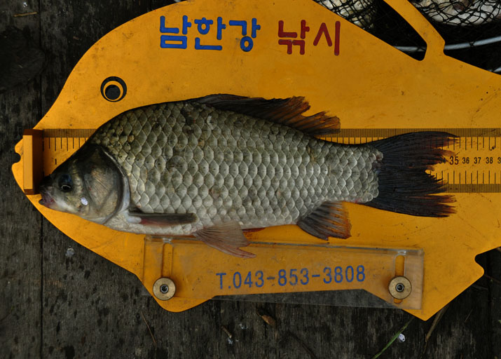 1250222307.JPG