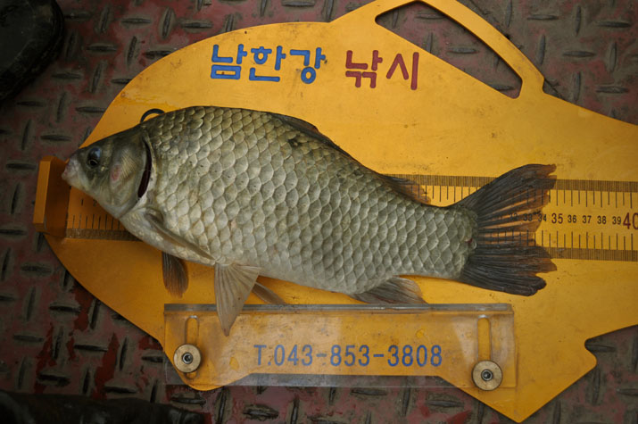 1250300107.JPG
