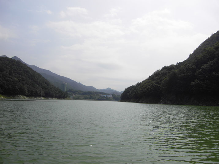 1250604700.JPG