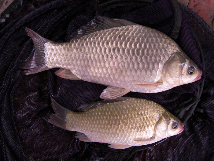 1280842452.JPG