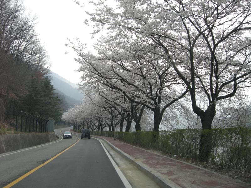 1303004480.JPG