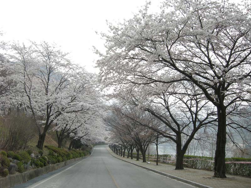 1303004500.JPG