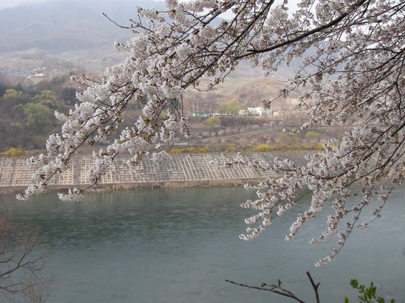 1303004518.JPG