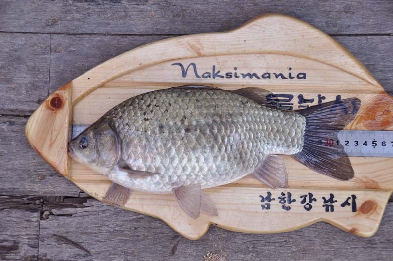1304570791.JPG