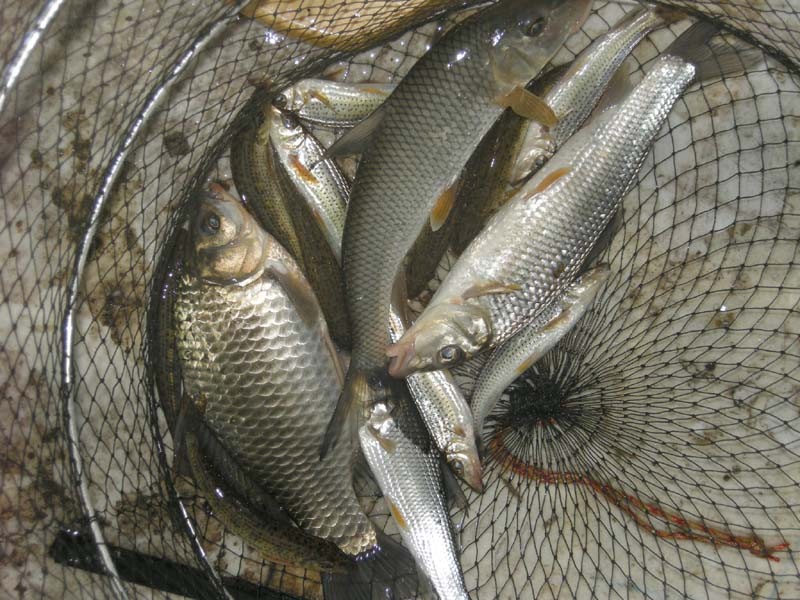 1304772861.JPG