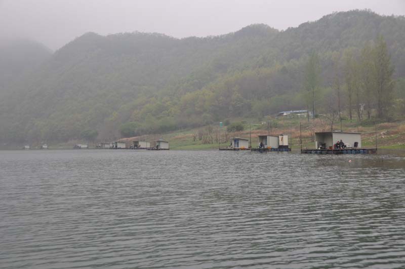 1304861139.JPG