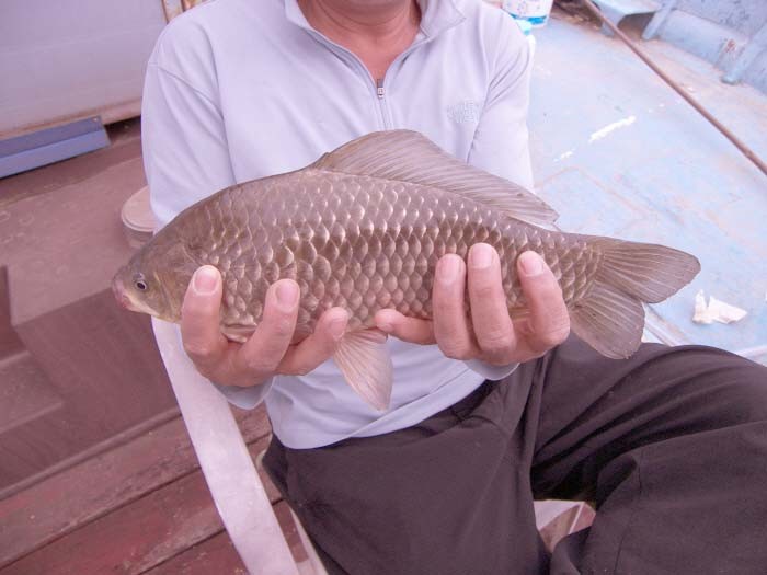 1304942006.JPG