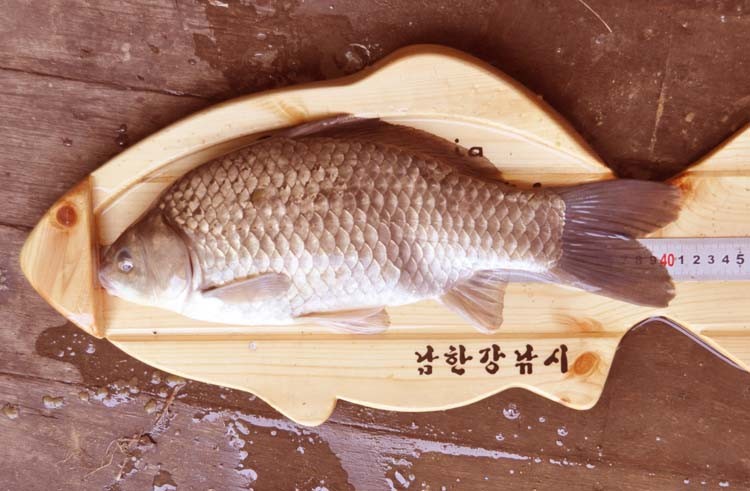 1305261330.JPG