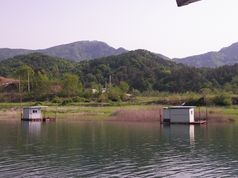 1305722309.jpg