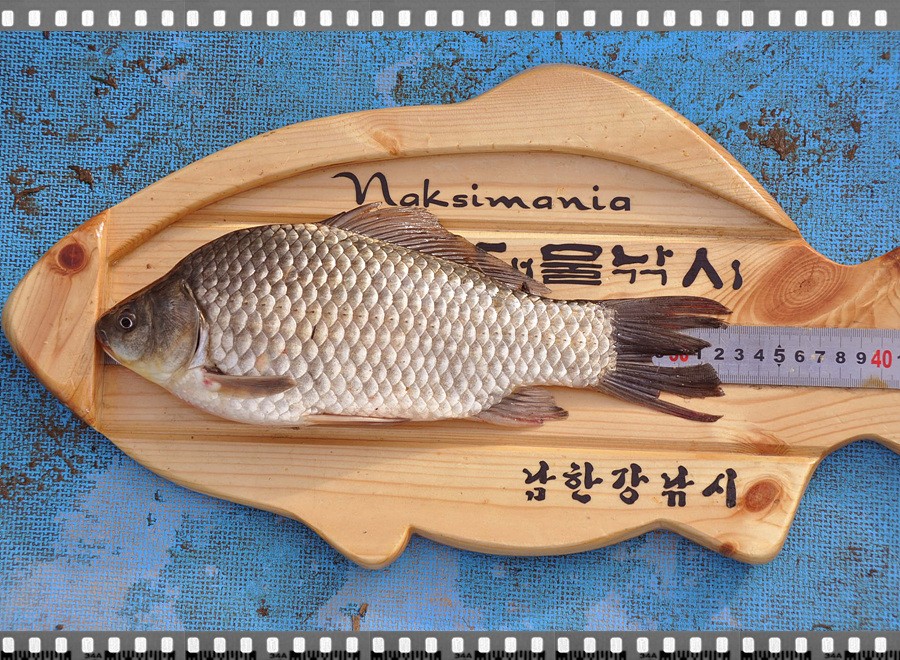 1306031609.jpg