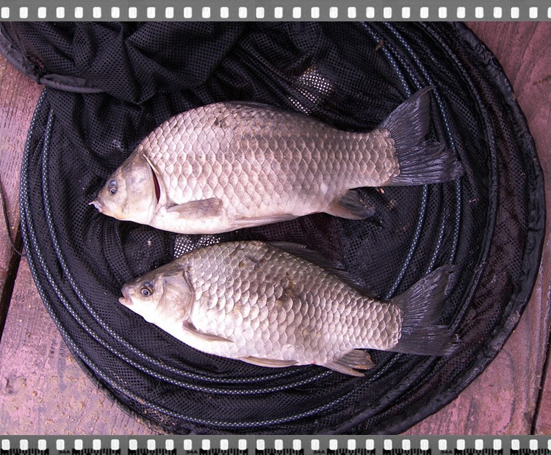 1306067906.jpg
