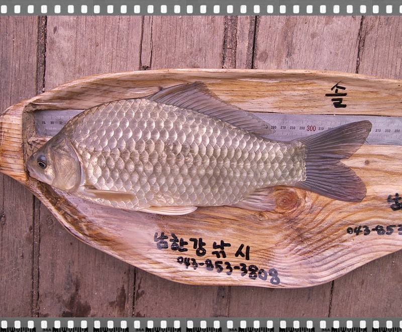 1306328194.jpg