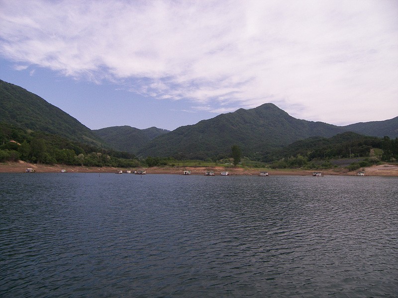 1306679239.jpg