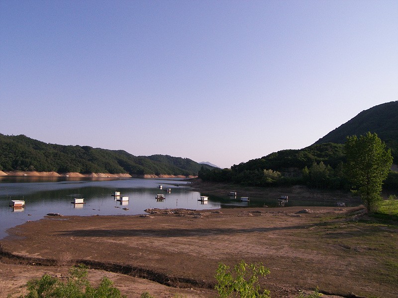 1306679252.jpg