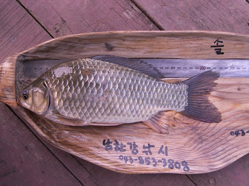 1306679381.jpg