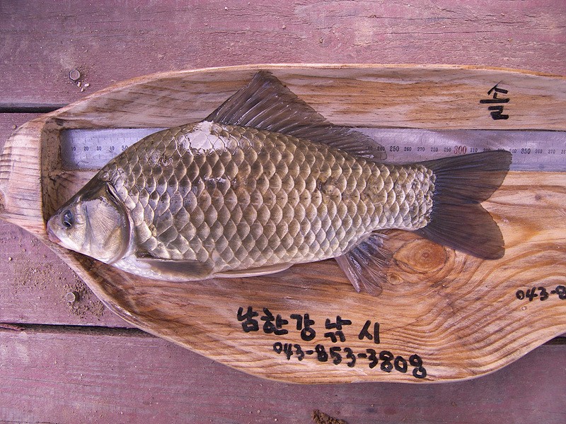 1306679447.jpg