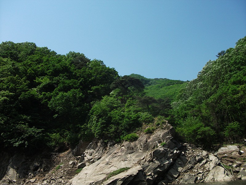 1306679478.jpg