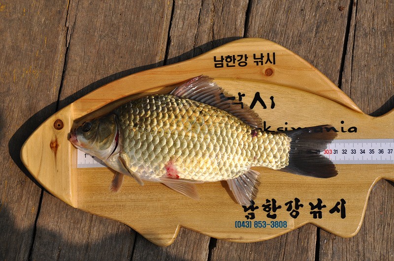 1308105884.jpg