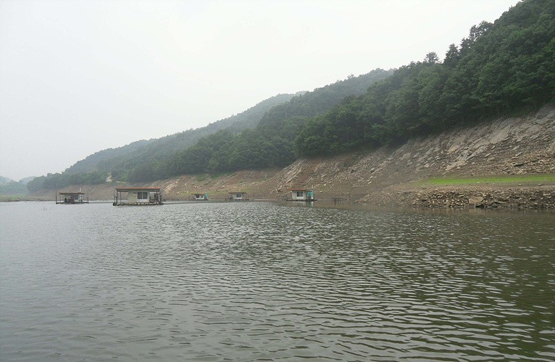 1308710974.jpg