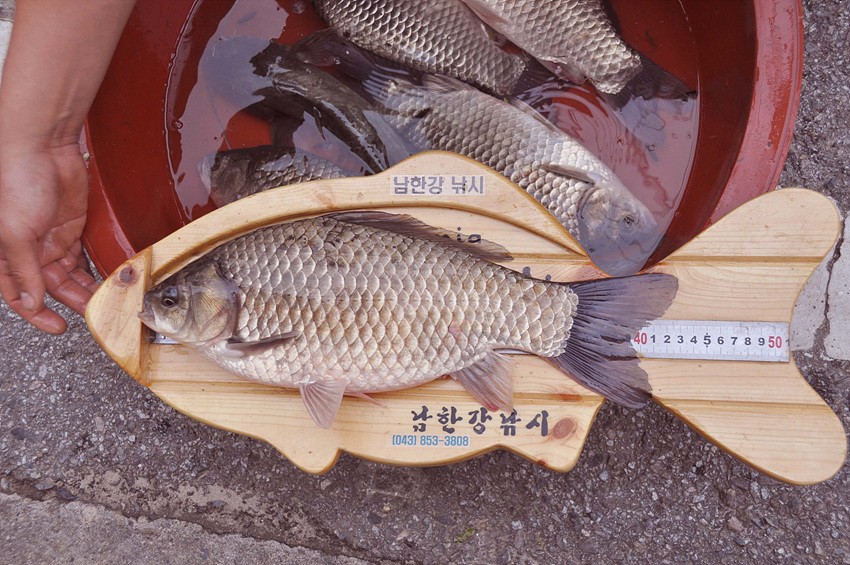 1309156358.jpg