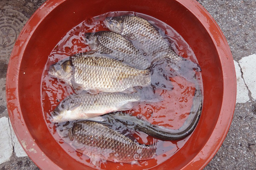 1309156374.jpg