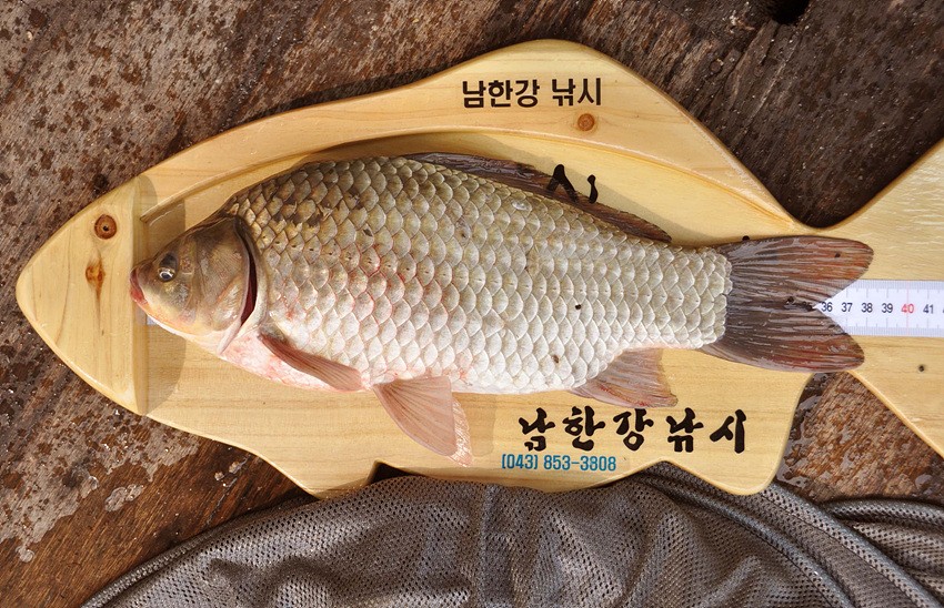 1309168408.jpg