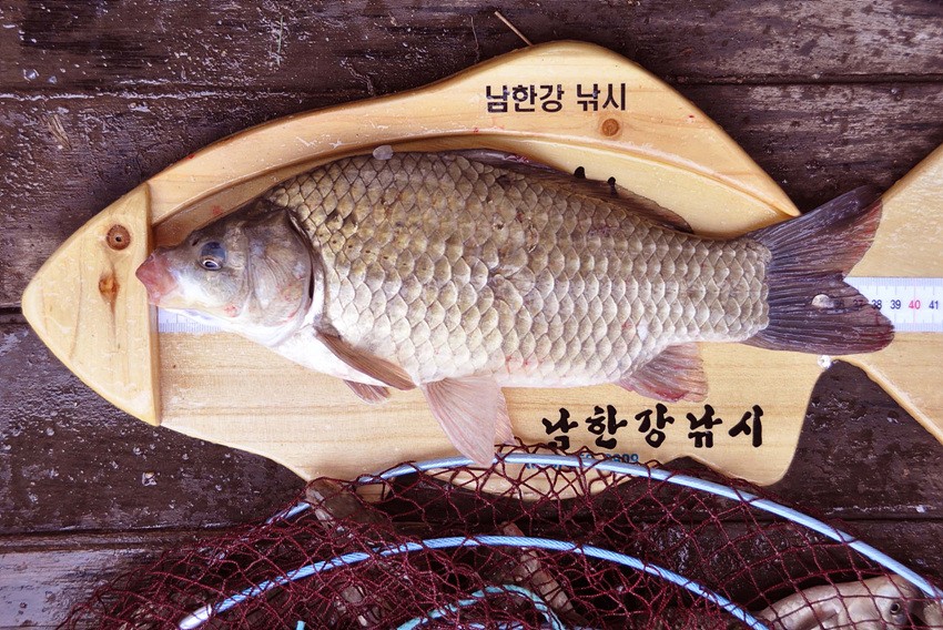 1309168445.jpg