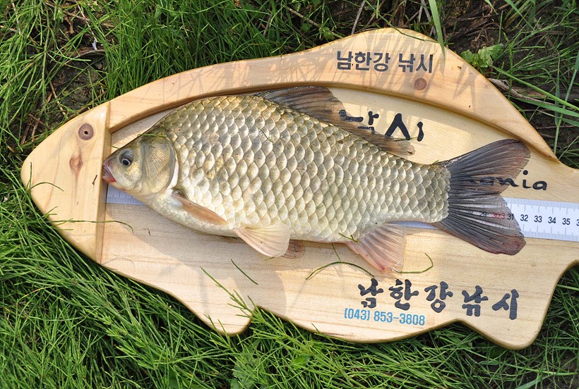 1309240259.jpg
