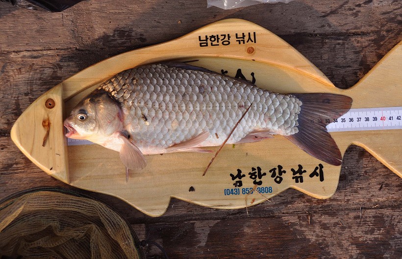 1309240404.jpg