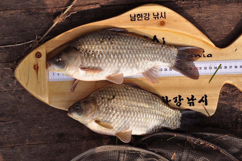 1309240432.jpg