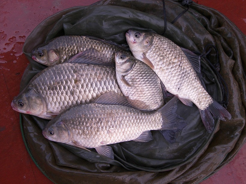 1309244155.jpg