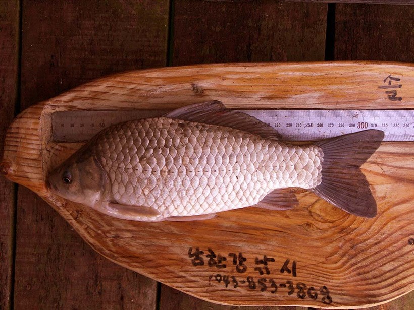 1309359219.jpg