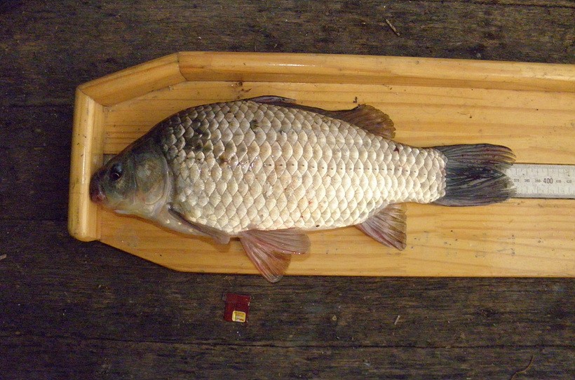 1309359452.jpg