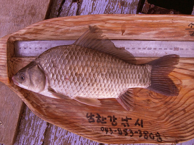 1309782152.jpg