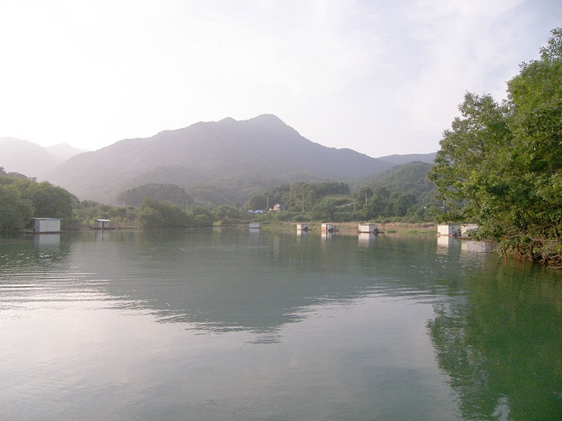 1309953434.jpg