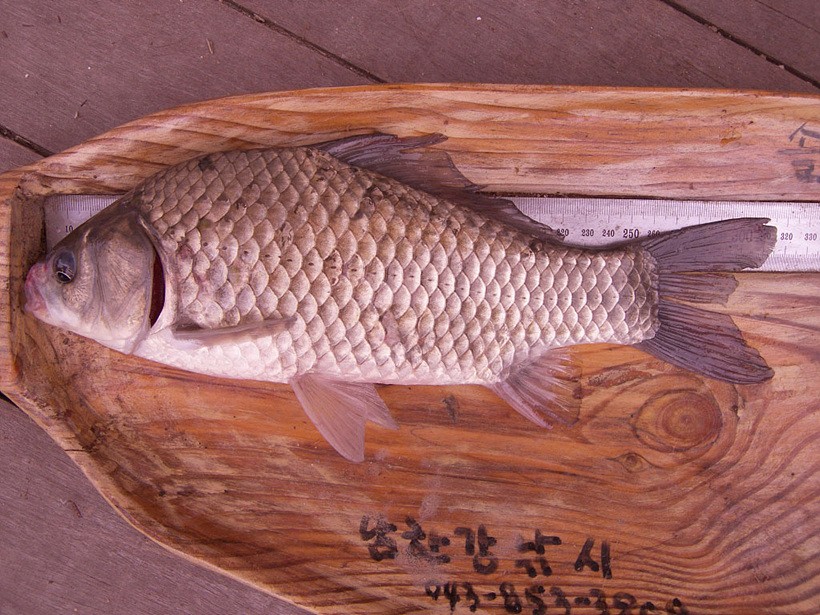 1309953591.jpg