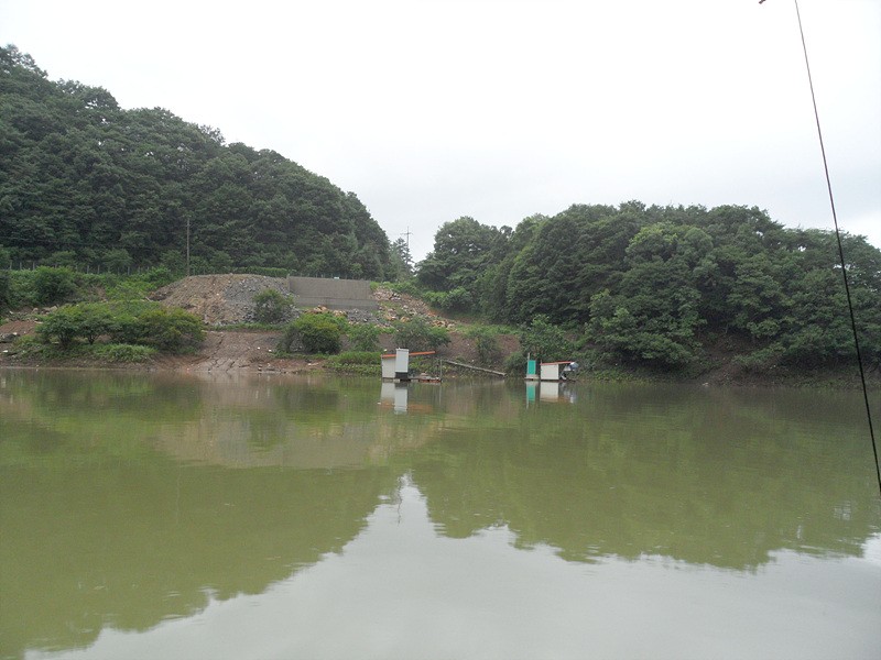 1310648409.jpg