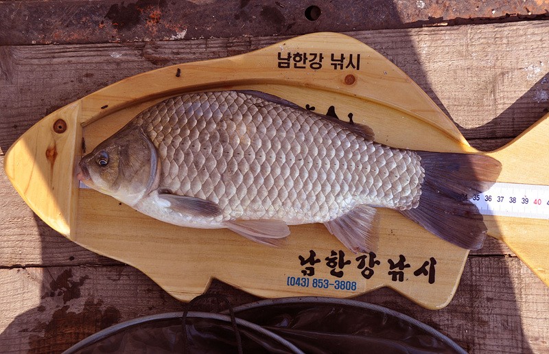1310951126.jpg