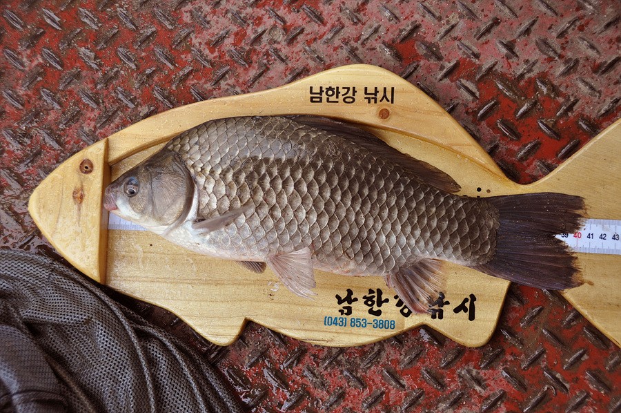 1311391866.jpg