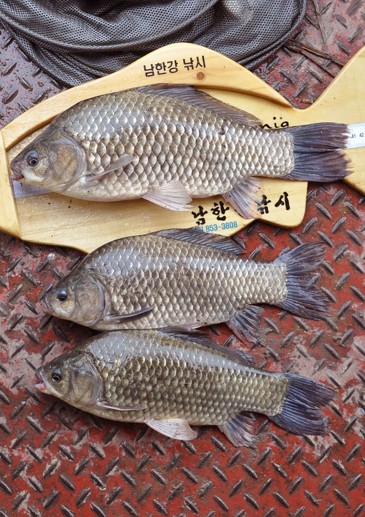 1311391880.jpg