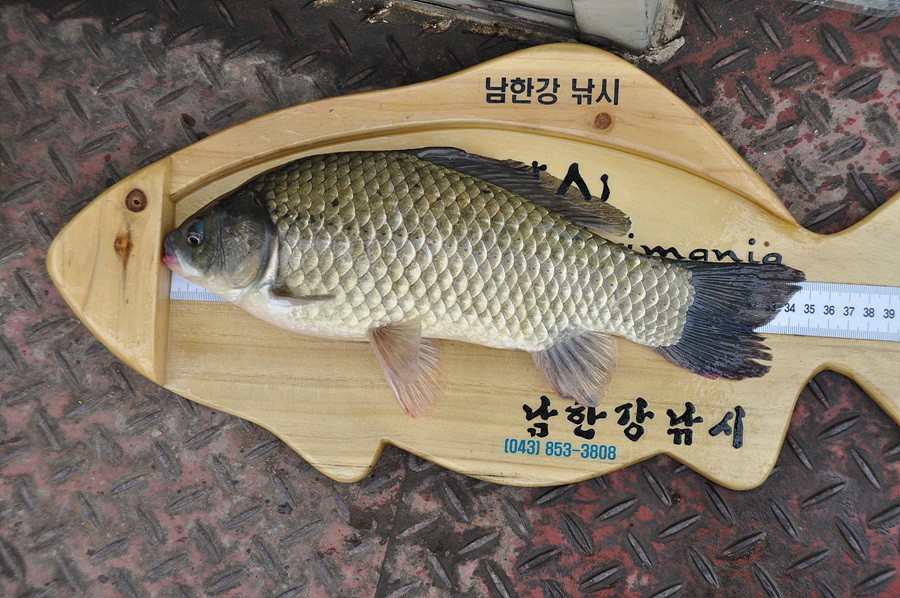 1311391919.jpg