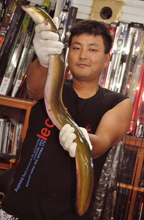 대물장어 이미지