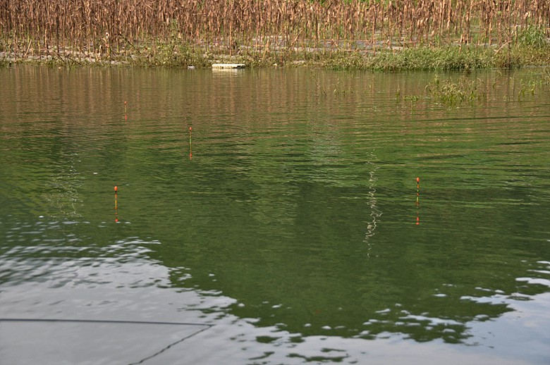1314068105.jpg