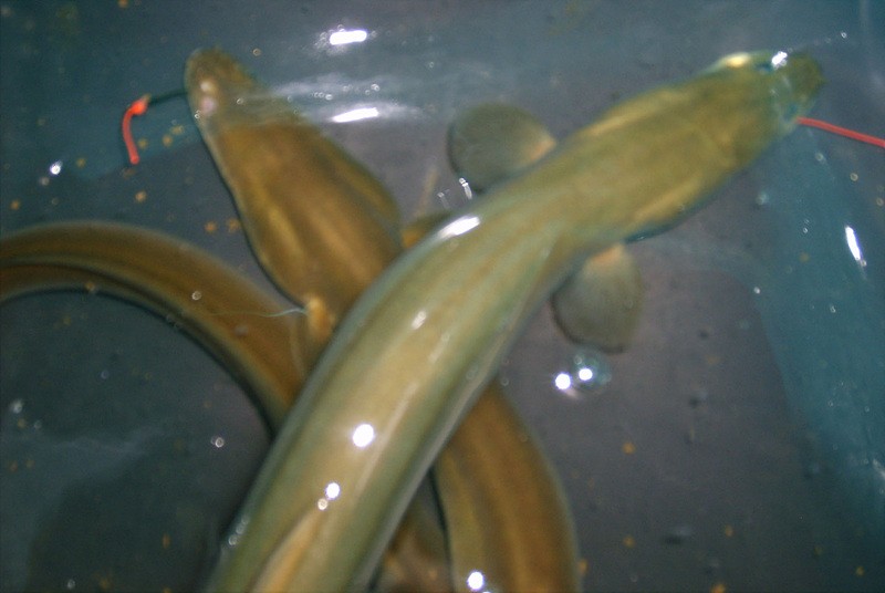 1314615055.jpg