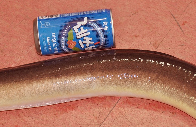 1314615152.jpg