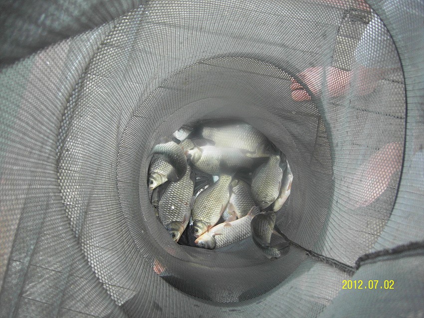 1341215670.jpg