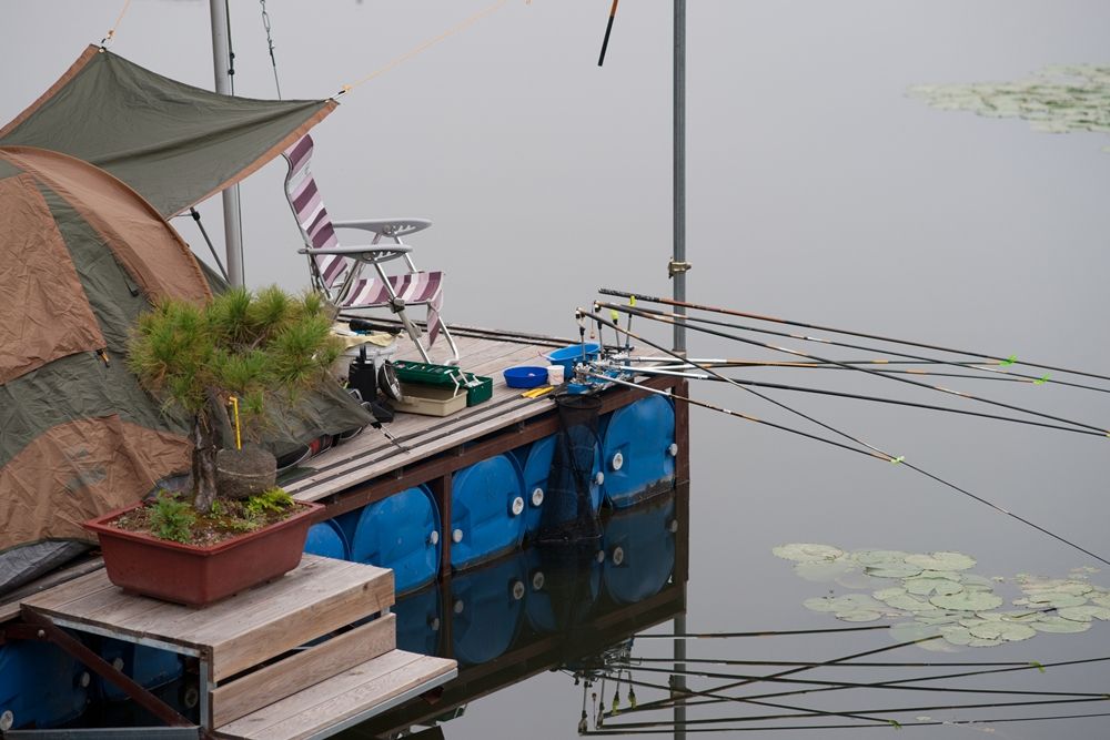 DSC07685.jpg
